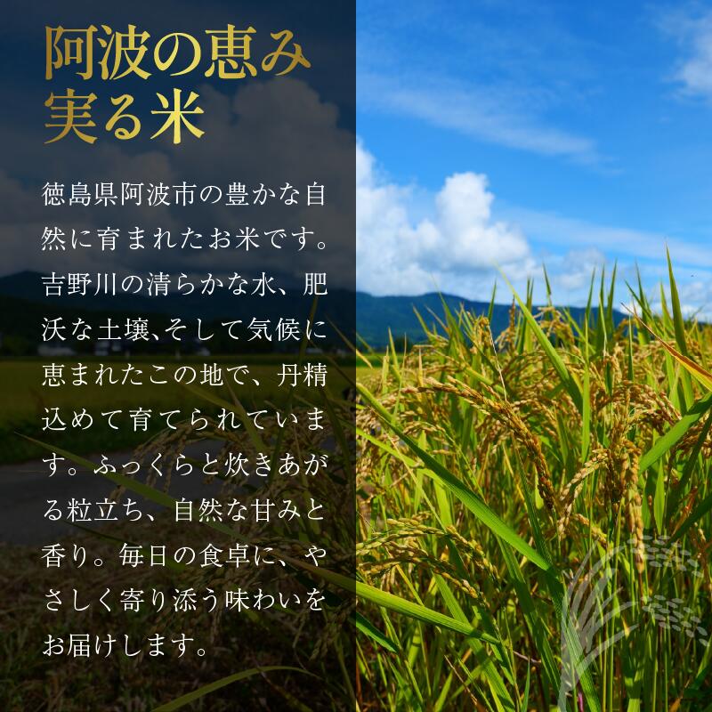 米 もち米 10kg 20kg 新米 令和8年産 餅 赤飯 おはぎ 10キロ 20キロ コメ 備蓄 備蓄米 保存 防災 災害 おこわ 雑煮 大福 あられ イベント 餅つき 阿波市 徳島県