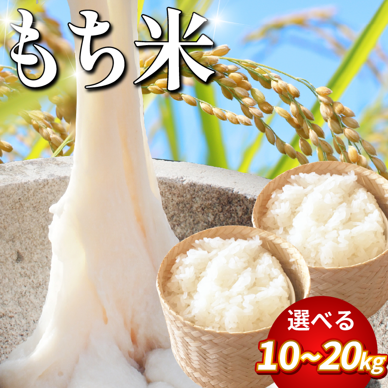 米 もち米 10kg 20kg 新米 令和8年産 餅 赤飯 おはぎ 10キロ 20キロ コメ 備蓄 備蓄米 保存 防災 災害 おこわ 雑煮 大福 あられ イベント 餅つき 阿波市 徳島県