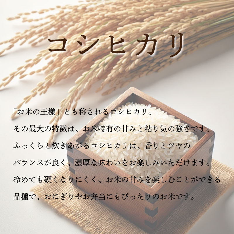 コシヒカリ 選べる容量 5kg~20kg 単品 定期便 令和8年産 米 こめ ご飯 ごはん おにぎり 白米 精米 新米 卵かけご飯 食品 お取り寄せ グルメ 送料無料 徳島県 阿波市
