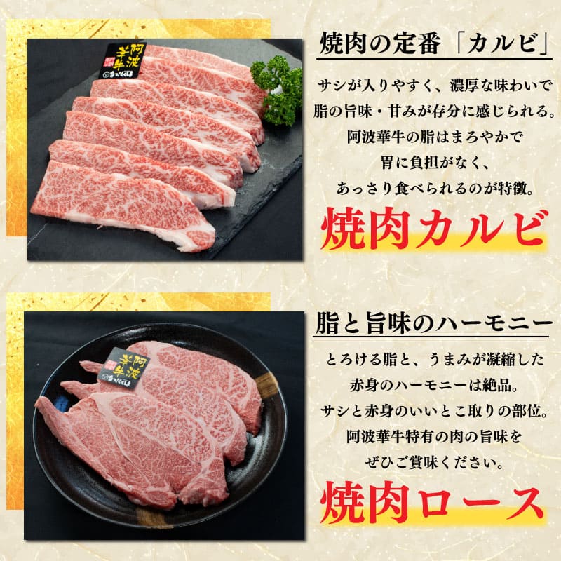 【 肉福袋 】 3万円 5万円 10万円 牛肉 福袋 黒毛和牛 A5等級 阿波華牛 和牛 肉 ビーフ 赤身 ロース 肩 モモ すき焼き すきやき しゃぶしゃぶ 焼肉 牛丼 カレー シチュー 阿波市