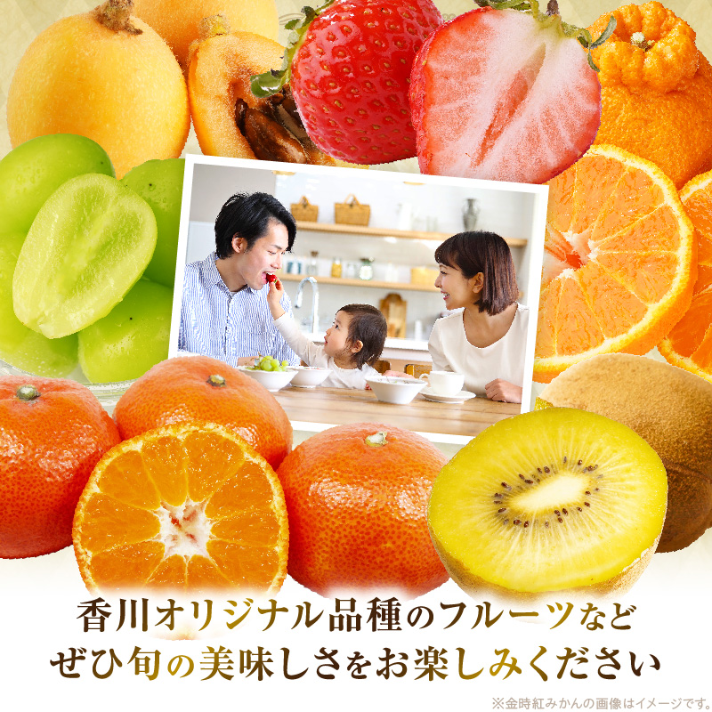 さぬき旬のフルーツ大満足　6回定期便_mk006-t011