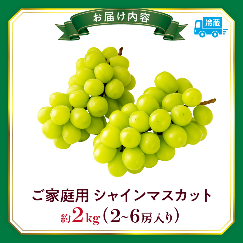 ご家庭用シャインマスカット 約2kg_mk006-150