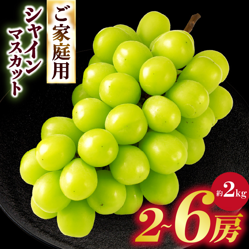 ご家庭用シャインマスカット 約2kg_mk006-150