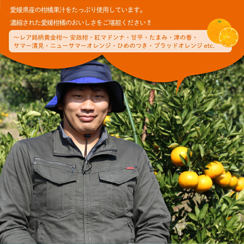 【大人気】 ちゅうちゅうゼリー 定期便 5個×12回 果汁ゼリー 柑橘 ゼリー みかん 果物ゼリー スイーツ 愛媛県 松山市 松山おすすめ 定期便 果物 頒布会 ゼリー ちゅちゅうゼリー 定期便