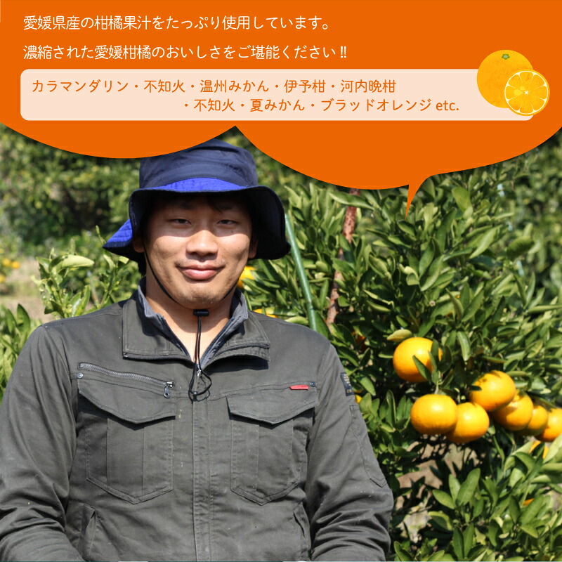 えひめ 柑橘 シャリー 12個 冷凍 氷菓 果汁 シャーベット ゼリー 柑橘 ゼリー みかん加工品 果物ゼリー フルーツ 果物 くだもの 愛媛みかん フローズン みかんシャーベット