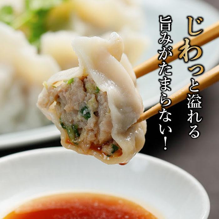 【ミシュランガイド掲載】点心専門店の手づくり水餃子 90個/2.25kg(タレ・作り方付) | 水餃子 餃子 ギョーザ 餃子 ギョーザ 点心 中華 手作り ギョーザ 餃子 冷凍 点心 中華 点心