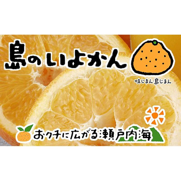 伊予柑 4kg 【2027年1月下旬から発送予定】 | 愛媛 中島産 いよかん みかん 柑橘 伊予柑 いよかん みかん かんきつ mikan フルーツ 果物 くだもの 愛媛県 松山市
