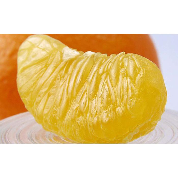伊予柑 4kg 【2027年1月下旬から発送予定】 | 愛媛 中島産 いよかん みかん 柑橘 伊予柑 いよかん みかん かんきつ mikan フルーツ 果物 くだもの 愛媛県 松山市