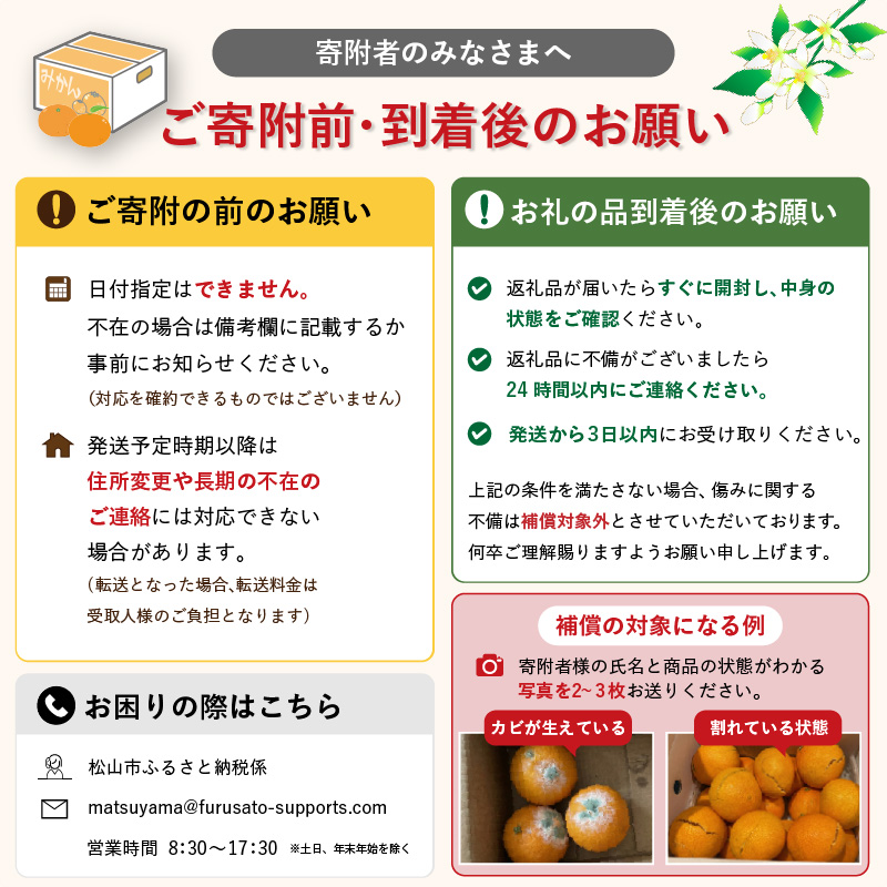 伊予柑 4kg 【2027年1月下旬から発送予定】 | 愛媛 中島産 いよかん みかん 柑橘 伊予柑 いよかん みかん かんきつ mikan フルーツ 果物 くだもの 愛媛県 松山市