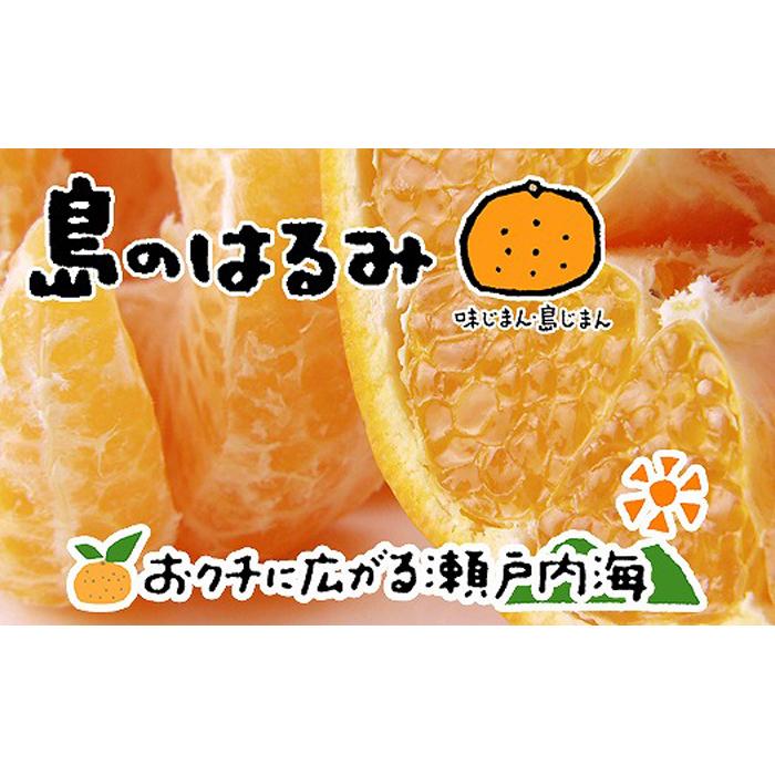 はるみ 8kg