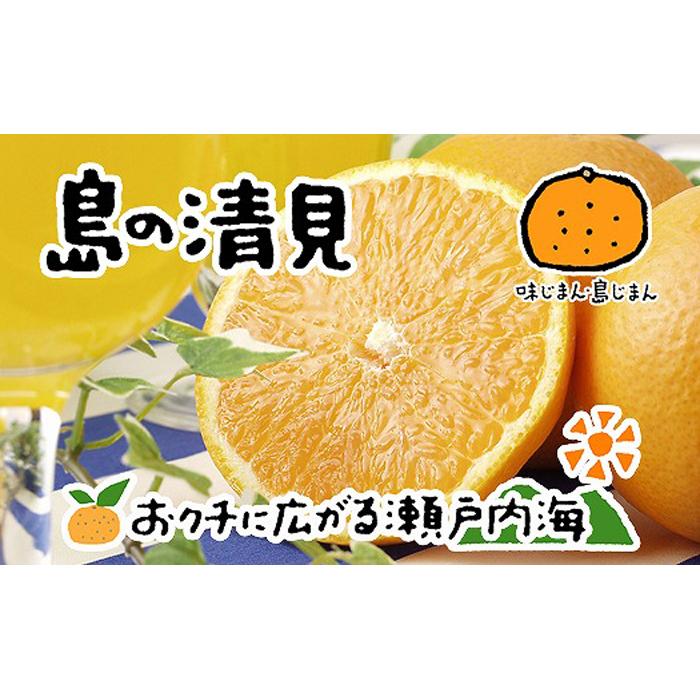 清見タンゴール 4kg 【2027年4月上旬から発送予定】 希望の島 愛媛 中島産 | みかん 柑橘 みかん かんきつ オレンジ きよみ 清見 タンゴール みかん 清見 みかん 柑橘 グルメ お取り寄