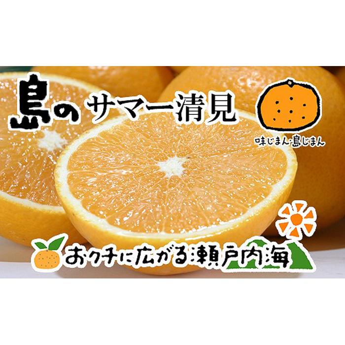 サマー清見 4kg 希望の島 愛媛 みかん 【2027年4月上旬から発送予定】 | 中島産 愛媛県産 みかん 柑橘 かんきつ 清見 きよみ 春かんきつ mikan ミカン 蜜柑 中島 フルーツ 果物