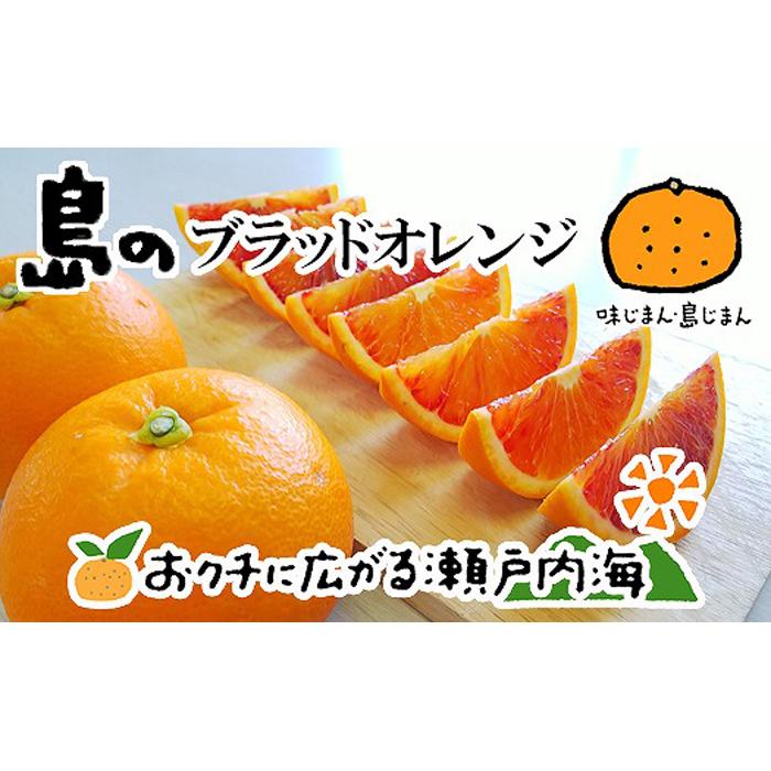 ブラッドオレンジ(タロッコ) 3kg 希望の島 【2027年3月中旬から発送予定】 愛媛 中島産 | 愛媛 みかん 先行予約 mikan 蜜柑 柑橘 果物 くだもの フルーツ ミカン お取り寄せ グル