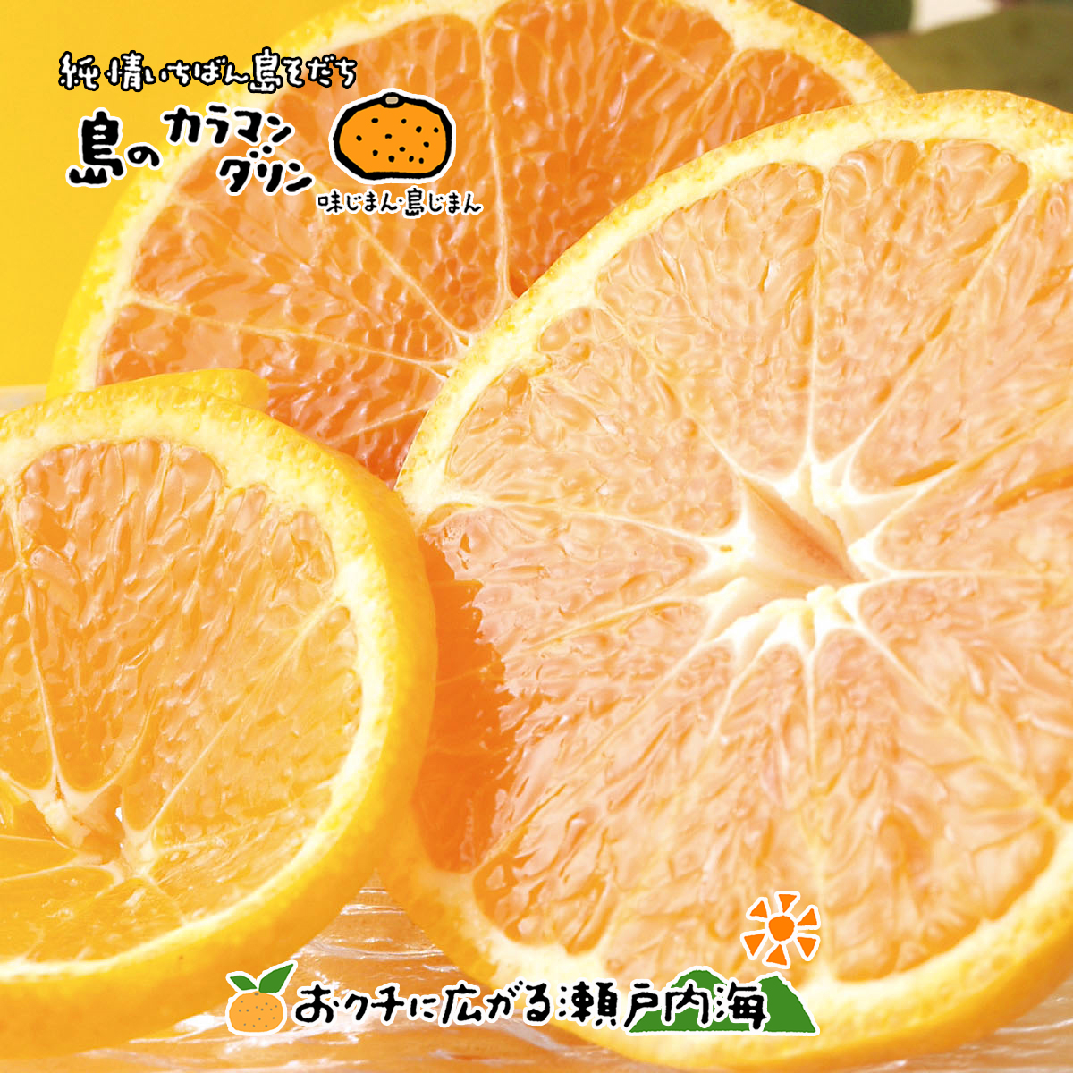 【2027年5月上旬頃から順次発送】完熟春みかん カラマンダリン 2kg 3kg 5kg 10kg M~2Lサイズ 約 M~2Lサイズ