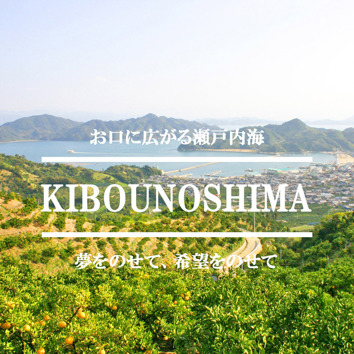 【2027年5月上旬頃から順次発送】完熟春みかん カラマンダリン 2kg 3kg 5kg 10kg M~2Lサイズ 約 M~2Lサイズ