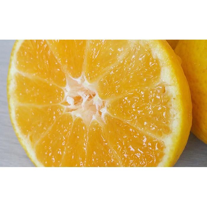 媛小春 2kg 希望の島 【2027年3月上旬頃から順次発送】 | みかん 愛媛 ひめこはる 柑橘 果物 フルーツ かんきつ ふるーつ mikan ミカン 蜜柑 オレンジ orange おれんじ