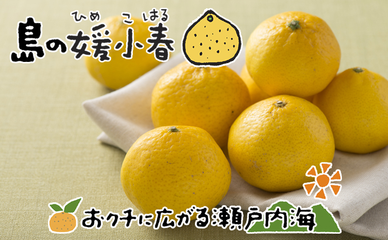 媛小春 2kg 希望の島 【2027年3月上旬頃から順次発送】 | みかん 愛媛 ひめこはる 柑橘 果物 フルーツ かんきつ ふるーつ mikan ミカン 蜜柑 オレンジ orange おれんじ