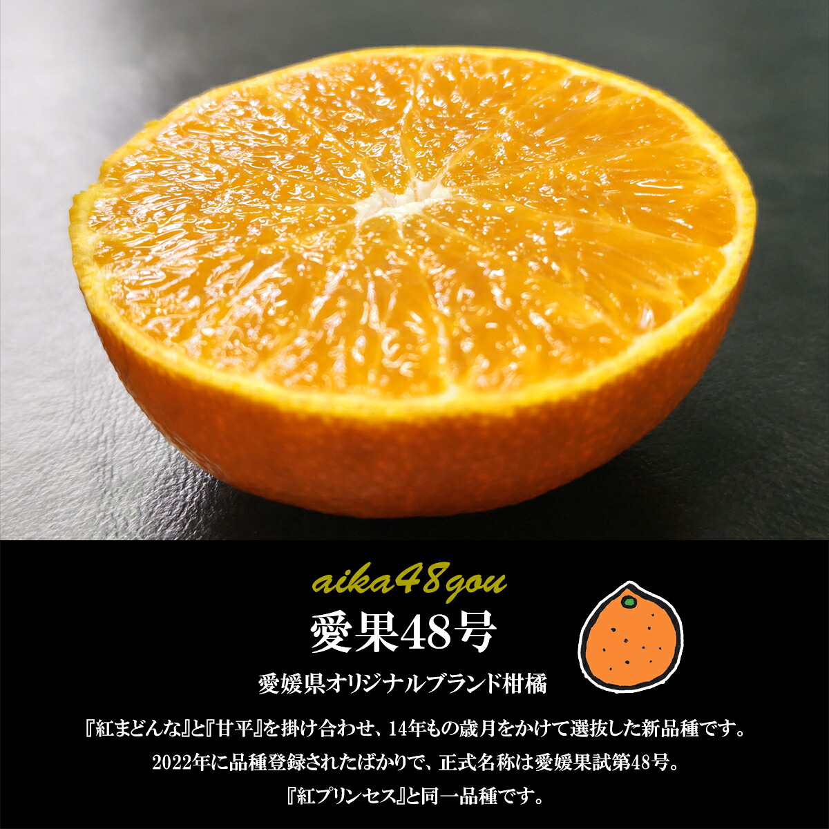【2027年3月下旬から発送予定】 あいか 愛果48号 2kg 家庭用 期間限定 愛媛県産 みかん 蜜柑 オレンジ 柑橘 果物 フルーツ 家庭用 おすすめ みかん オススメみかん 愛媛県 松山市