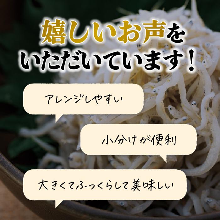 釜揚げしらす 400g / 800g / 1.0kg / 1.6kg 愛媛県産 釜揚げ 小分け 魚介類 新鮮 しらす丼 丼ぶり ご飯 お取り寄せ 海鮮 グルメ 人気 おすすめ 冷凍食品 常備食 ギフト 贈答 ご家庭用 送料無料 愛媛県 松山市