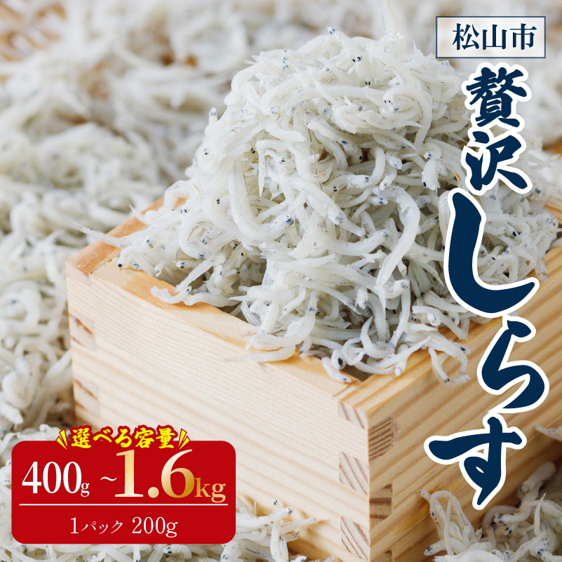 釜揚げしらす 400g / 800g / 1.0kg / 1.6kg 愛媛県産 釜揚げ 小分け 魚介類 新鮮 しらす丼 丼ぶり ご飯 お取り寄せ 海鮮 グルメ 人気 おすすめ 冷凍食品 常備食 ギフト 贈答 ご家庭用 送料無料 愛媛県 松山市