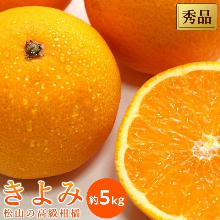 【2027年3月中旬頃から順次発送】 きよみ<秀品>約5kg