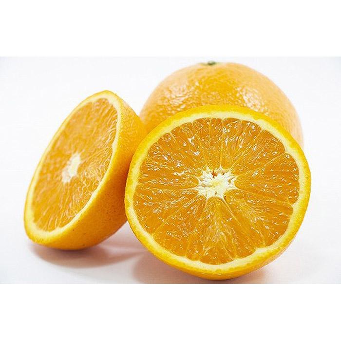 【2027年3月中旬頃から順次発送】 きよみ<秀品>約5kg