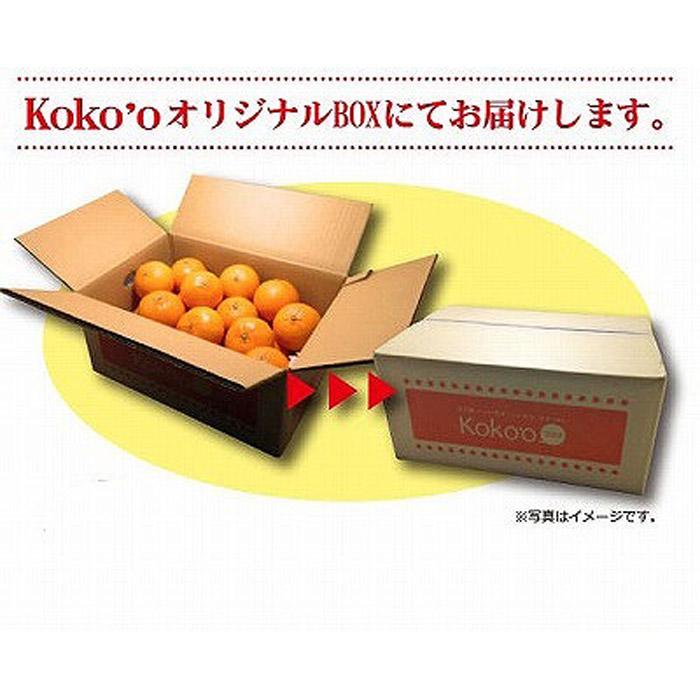 【2027年3月中旬頃から順次発送】 きよみ<秀品>約5kg