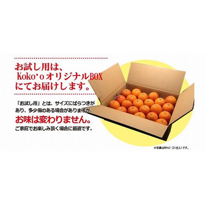 【2027年3月中旬頃から順次発送】ブラッドオレンジ 家庭用(優品) 約3kg