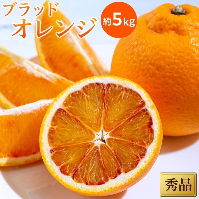 【2027年3月中旬頃から順次発送】 ブラッドオレンジ<秀品>約5kg
