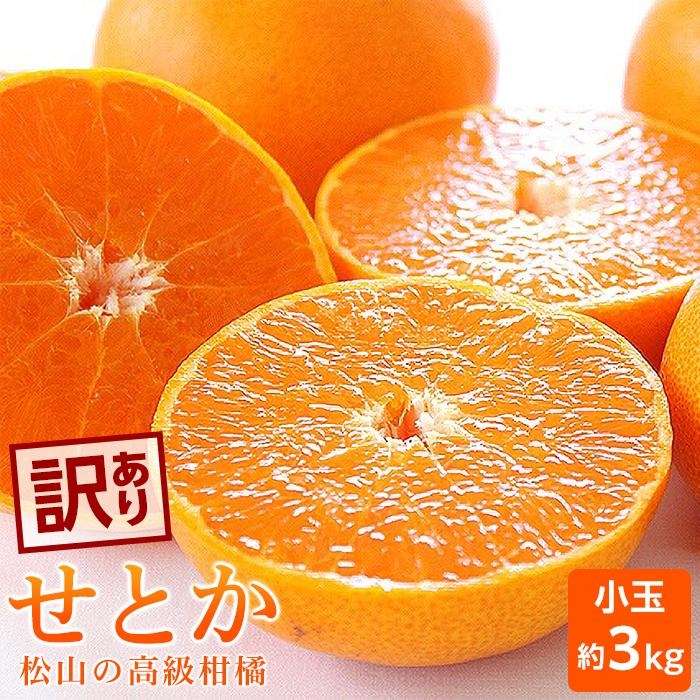 【2027年2月中旬頃から順次発送】せとか 小玉 約3kg | せとか 愛媛県 松山市 柑橘 小玉 こだま セトカ せとか みかん mikan かんきつ フルーツ 果物 くだもの お取り寄せ グルメ