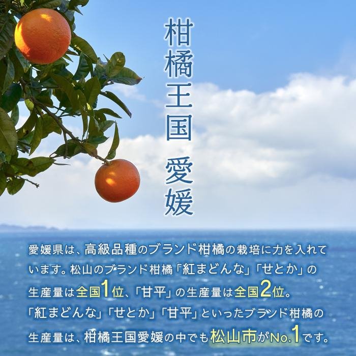 【2027年2月中旬頃から順次発送】せとか 小玉 約3kg | せとか 愛媛県 松山市 柑橘 小玉 こだま セトカ せとか みかん mikan かんきつ フルーツ 果物 くだもの お取り寄せ グルメ