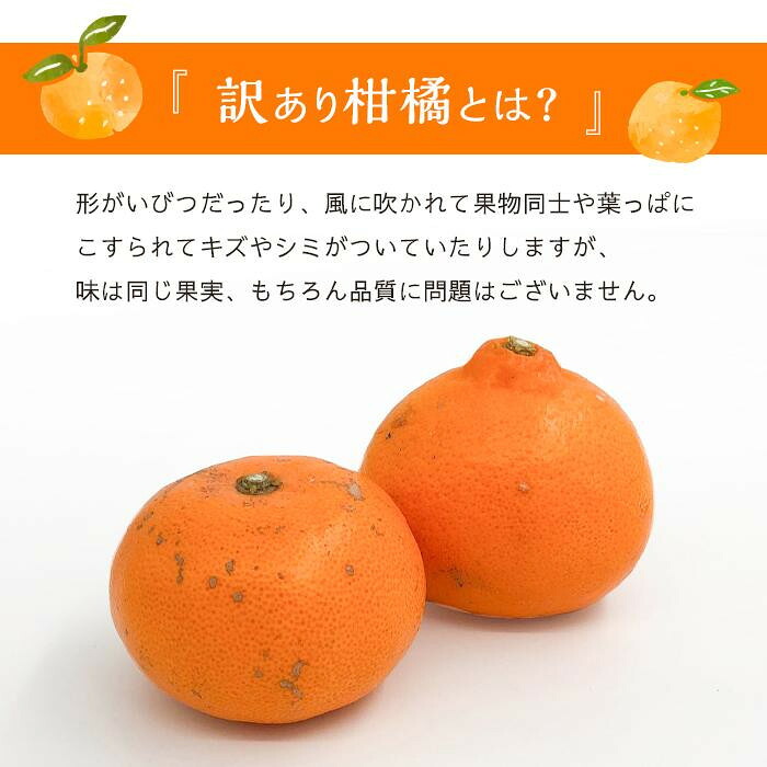 【2027年2月中旬頃から順次発送】せとか 小玉 約3kg | せとか 愛媛県 松山市 柑橘 小玉 こだま セトカ せとか みかん mikan かんきつ フルーツ 果物 くだもの お取り寄せ グルメ