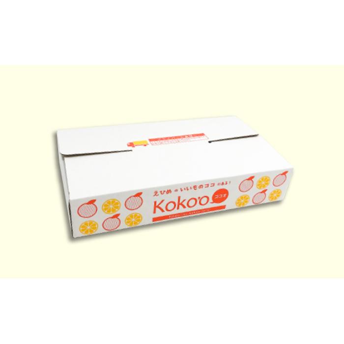 「いちずみ」食べ比べセット６個入り　(ぶどう入り)　(ココオ簡易BOX入り)  | ゼリー 柑橘ゼリー 柑橘ジュレ みかん スイーツ 温州みかん 清見 デコポン 美生柑 伊予柑 はるみ 愛媛県 松山市