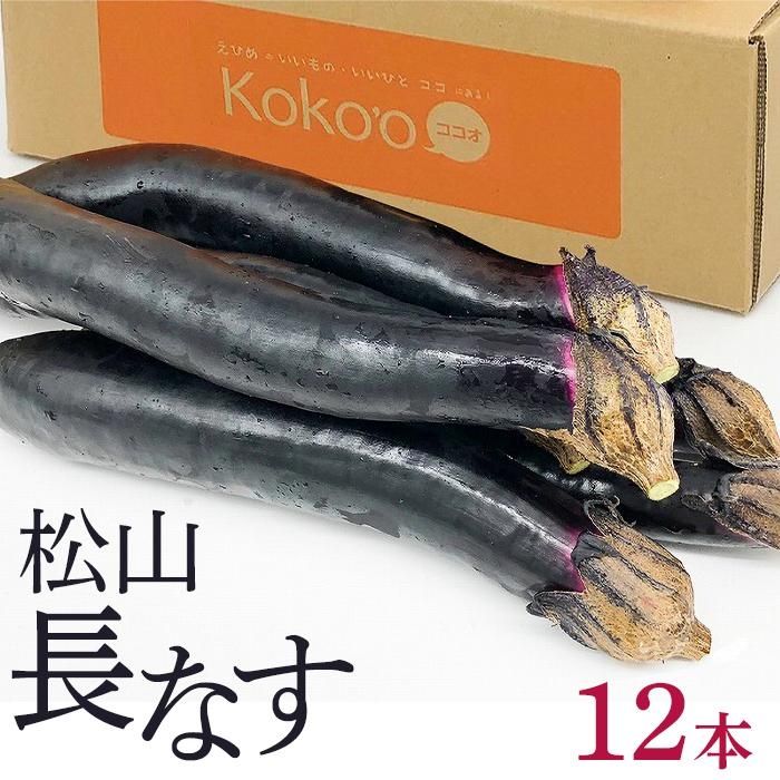 【2026年9月中旬頃から順次発送予定】 松山 長なす 12本入り | なす ナス 茄子 夏野菜 野菜 やさい なすび 愛媛県 松山市