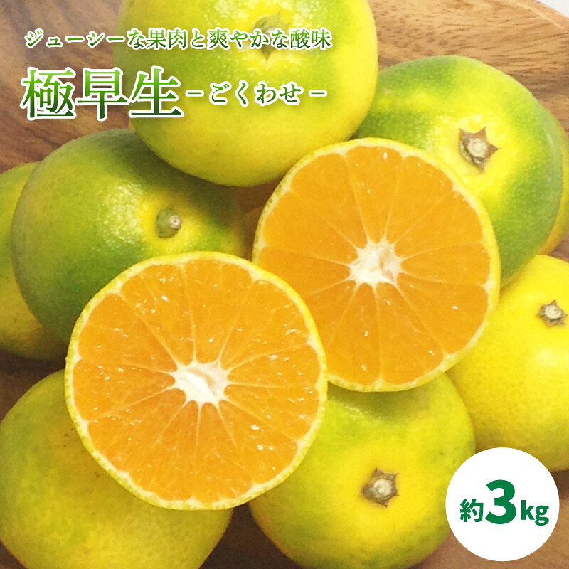 【2026年10月中旬頃から順次発送】 温州みかん「 極早生 」 約3kg ＜ 秀品 ＞【 ギフトBOX 入り】 | みかん 温州みかん おれんじ 蜜柑 ミカン 果物 フルーツ くだもの 極早生 早生