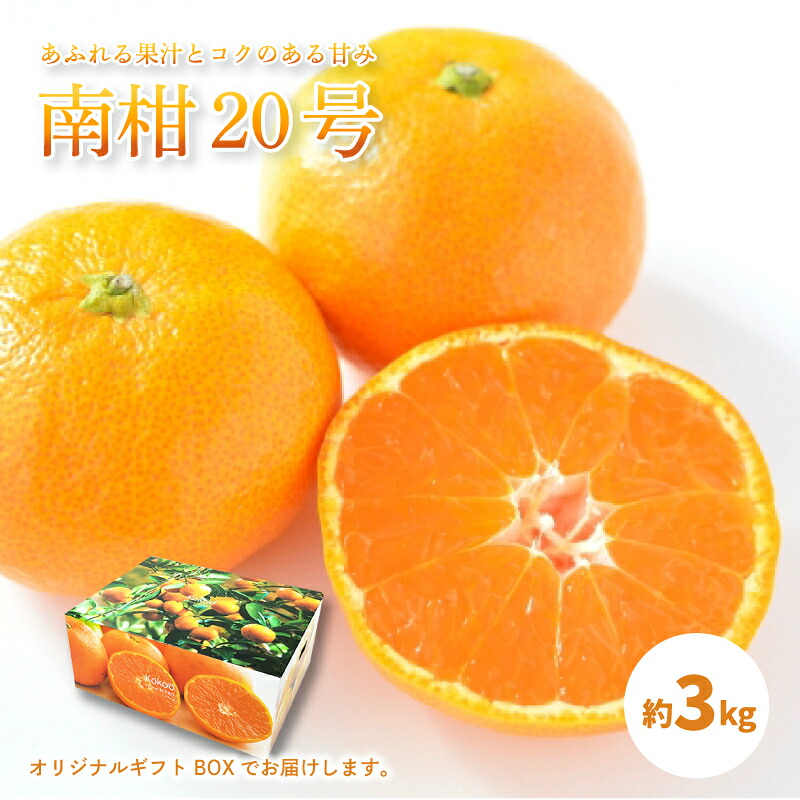 【2026年12月中旬頃から順次発送予定】 温州みかん 「 南柑20号 」＜ 秀品 ＞ 約3kg 【 ギフトBOX 入り 】 | 温州みかん みかん 柑橘 mikan ミカン かんきつ