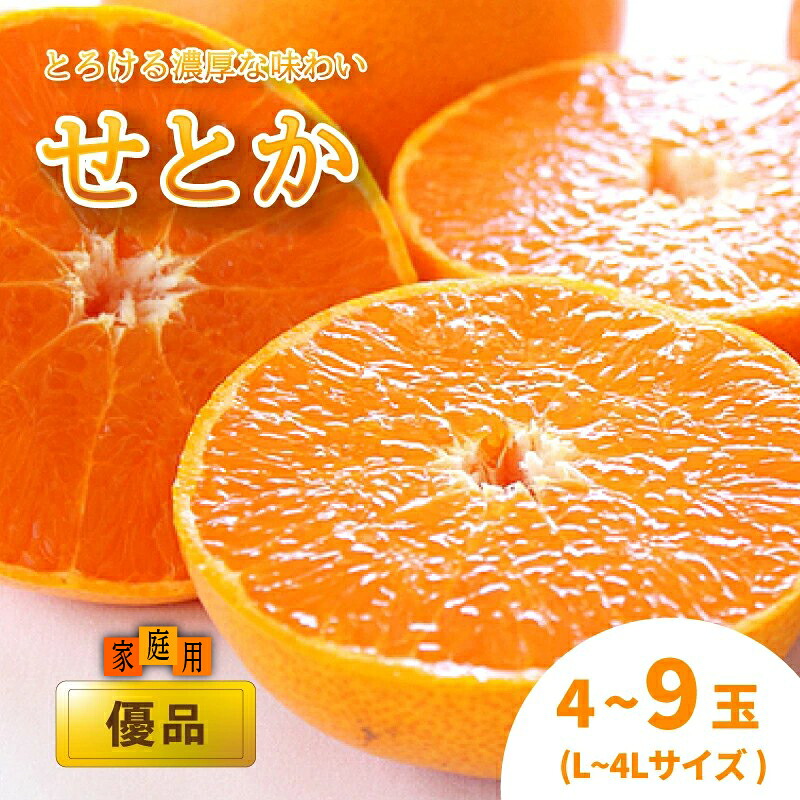 【2027年2月中旬頃から順次発送】 せとか 家庭用 ( 優品 ) 約1.8kg | みかん セトカ 優品 柑橘 愛媛県 松山市 松山市産せとか 柑橘の大トロ「せとか」 柑橘 みかん ミカン せとか
