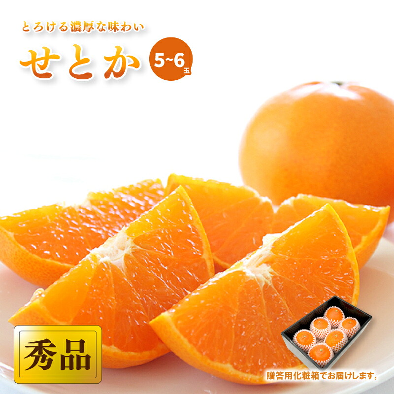 【2027年2月中旬頃から順次発送】 せとか ＜秀品＞(2L-3L / 5-6玉）約1.5kg 贈答用化粧箱入り | みかん せとか 秀品 愛媛県 松山市 おすすめ 松山市産せとか