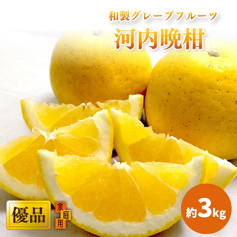 【2027年4月上旬頃から発送】 河内晩柑 優品 家庭用 約3kg | 和製グレープフルーツ 木成り熟成 爽やか みかん ミカン 蜜柑 甘い 酸味 数量限定 期間限定 愛媛県産 甘み 香り
