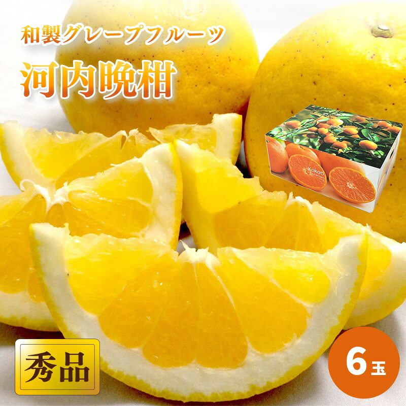 河内晩柑 秀品 6玉 ギフトBOX入り 【2027年4月上旬頃から発送】| 和製グレープフルーツ ジューシーオレンジ 夏文旦 木成り熟成 爽やか みかん ミカン 蜜柑 酸味 数量限定