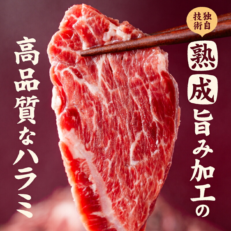 熟成旨み牛やわらかハラミカット 1kg 2kg 3kg インジェクション加工 味付けなし 業務用 愛媛県 松山市