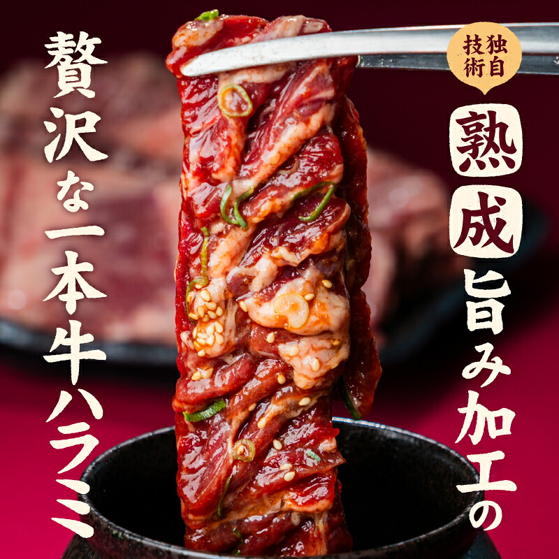 牛ハラミ ブロック 3kg / 6kg タンブリング加工 牛ハラミ はらみ 牛肉 肉 個包装 冷凍 焼肉 焼き肉 BBQ バーベキュー ステーキ 丼物 簡単調理 炒め物 家庭用 業務用 人気 お取り寄せ 愛媛県 松山市