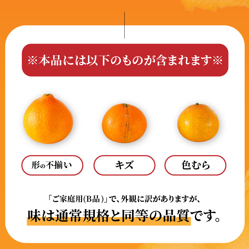 愛果28号 (紅まどんな と同品種) ご家庭用 1kg 2.5kg 5kg 【2026年11月下旬より順次発送】 | 訳あり あいか みかん まどんな 柑橘 愛媛県 松山市