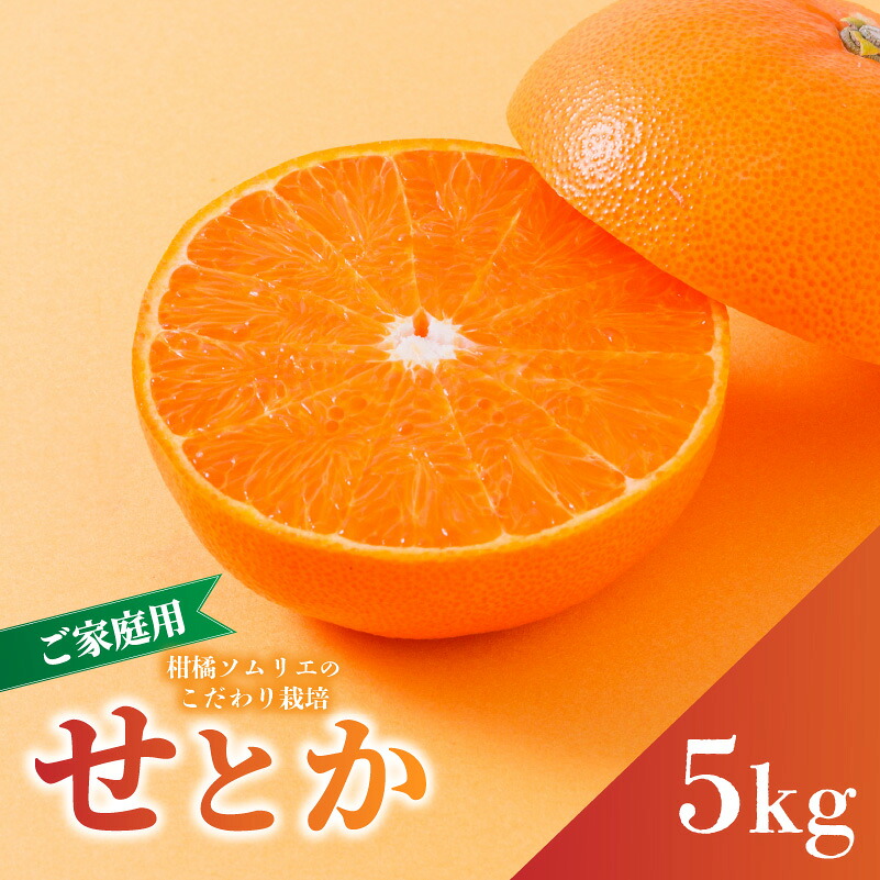 【2027年2月下旬から順次発送】せとか B品 家庭用 5kg | セトカ 愛媛産 愛媛県産 国産 愛媛みかん 愛媛蜜柑 愛媛ミカン みかん ミカン mikan 蜜柑 柑橘 フルーツ 果物 くだもの