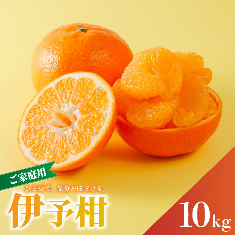 家庭用 宮内伊予柑 10kg サイズ混合 【2027年1月下旬から順次発送】 | 訳あり 柑橘 みかん 果物 くだもの フルーツ おすすめ 人気 お取り寄せ グルメ ギフト 期間限定 数量限定