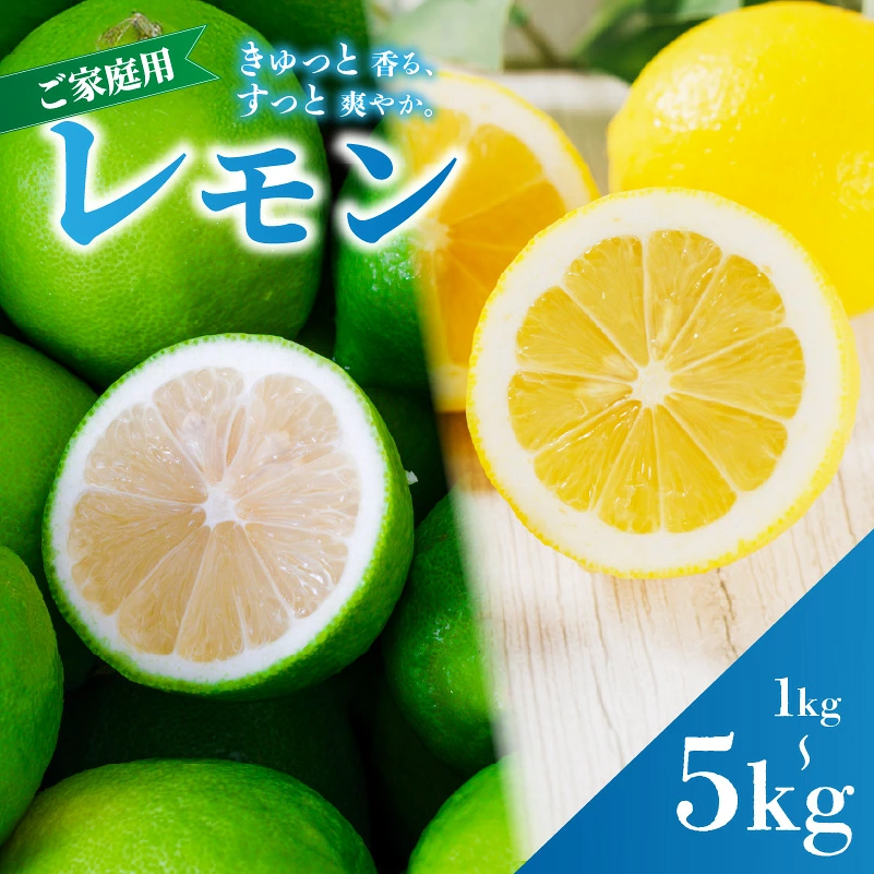 レモン 家庭用 1kg / 2.5kg / 5kg 選べる グリーン/イエロー 【2026年9月下旬頃から順次発送】 | 訳あり lemon れもん 柑橘 レモン 国産 愛媛 愛媛 松山 国産レモン 不揃いレモン 蓮果園