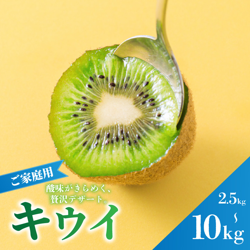キウイフルーツ ヘイワード 2.5kg