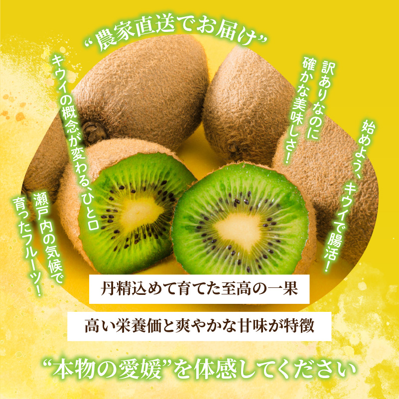 キウイフルーツ ヘイワード 2.5kg/5kg/10㎏ サイズ混合 家庭用 【先行予約 2026年10月下旬から発送】 | きうい 果物 キウイくだもの フルーツ おすすめ  人気 お取り寄せ 松山市 蓮果園