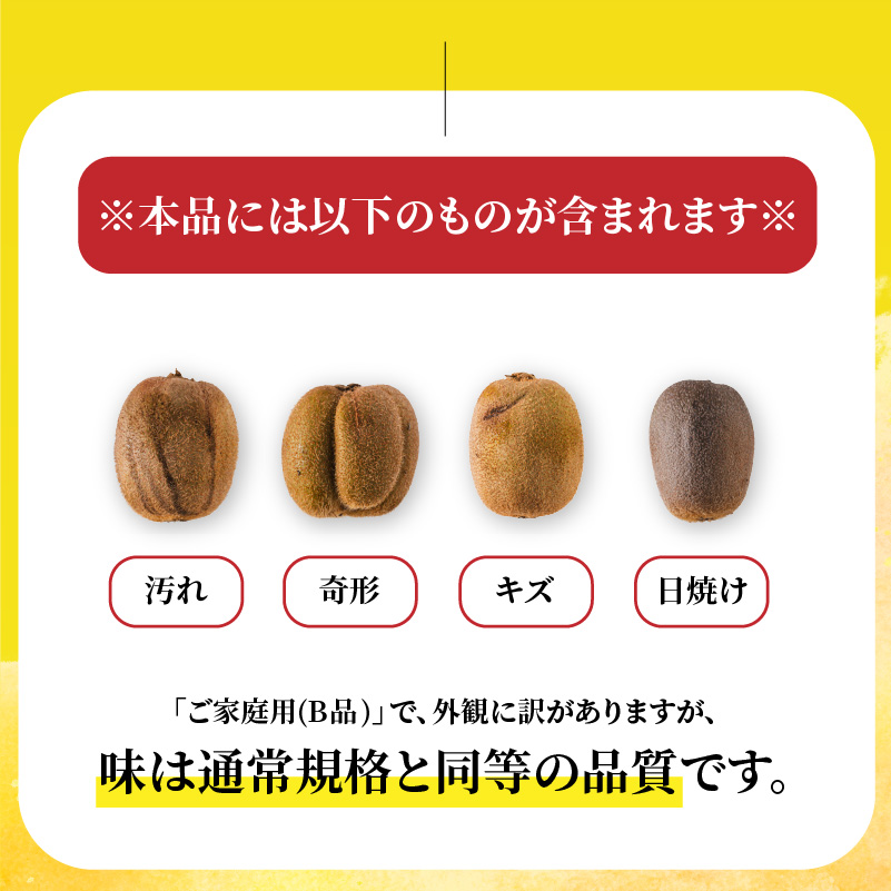 キウイフルーツ ヘイワード 2.5kg/5kg/10㎏ サイズ混合 家庭用 【先行予約 2026年10月下旬から発送】 | きうい 果物 キウイくだもの フルーツ おすすめ  人気 お取り寄せ 松山市 蓮果園