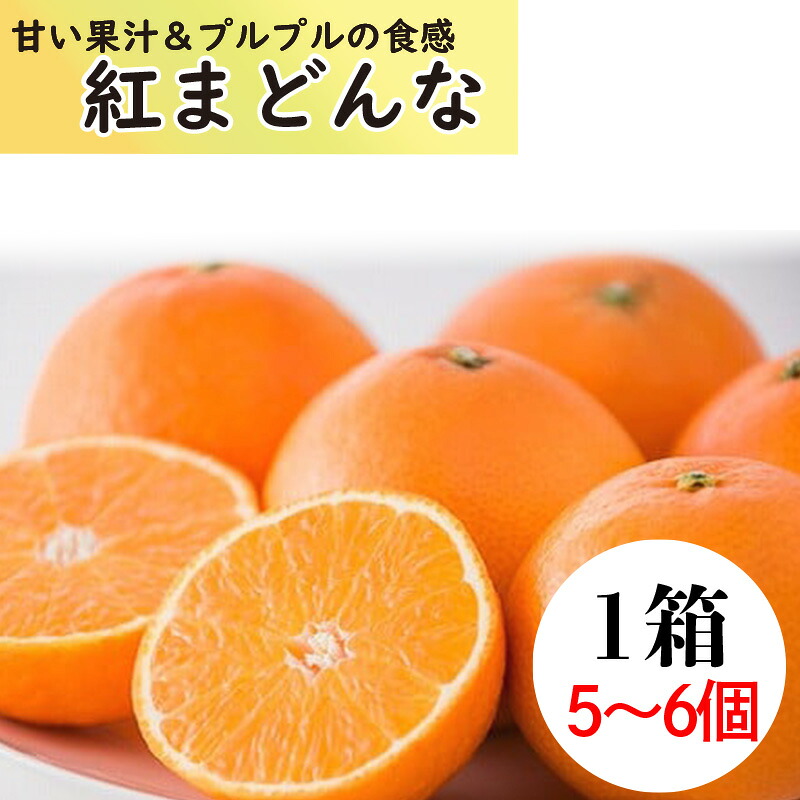 【2026年11月中旬頃から順次発送】紅まどんな1箱（5から6個入り） | 高級 柑橘 フルーツ まどんな みかん 愛媛 みかん 蜜柑 フジ・アグリフーズ 愛媛県 松山市